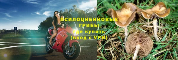МДПВ Зеленодольск