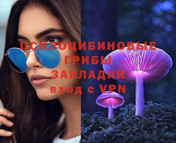 твердый Зерноград