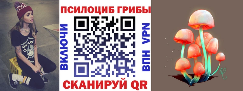 Купить закладки  Ленинск  Галлюциногенные грибы прущие грибы 