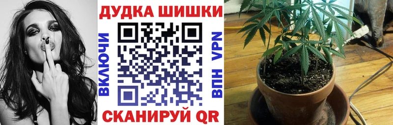 Купить где  Ленинск  Марихуана OG Kush 